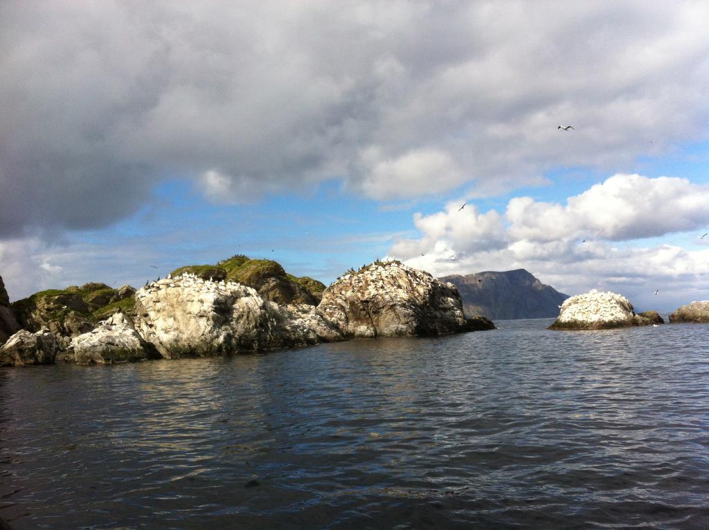 Buodden Rorbuer - Fisherman Cabins Sørvågen Eksteriør billede